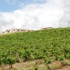 Partanna 2010 (575)